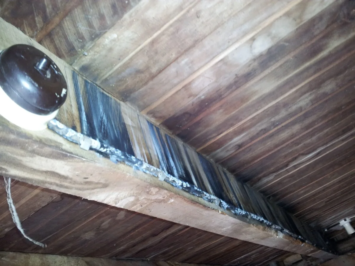 Burnt wire under house